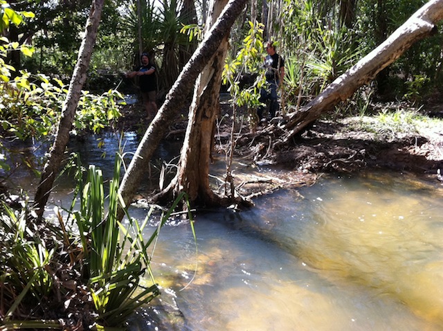 037_creekxing2