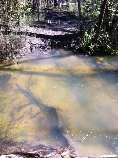 038_creekxing4